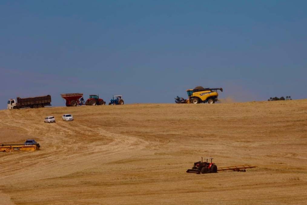 Paraná deve fechar safra de grãos 2022/23 em 25,7 milhões de toneladas